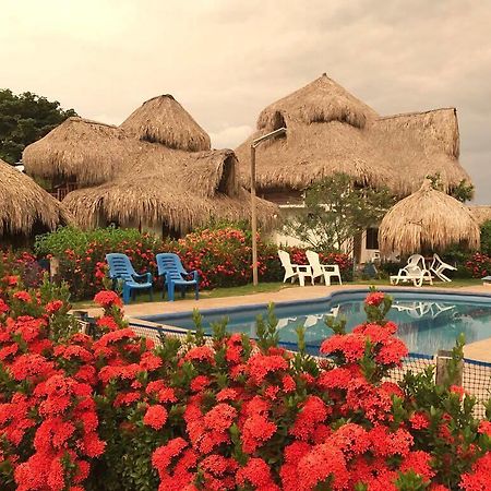 Palomino Breeze Hostal Екстер'єр фото