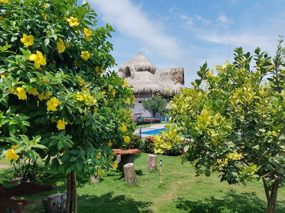Palomino Breeze Hostal Екстер'єр фото