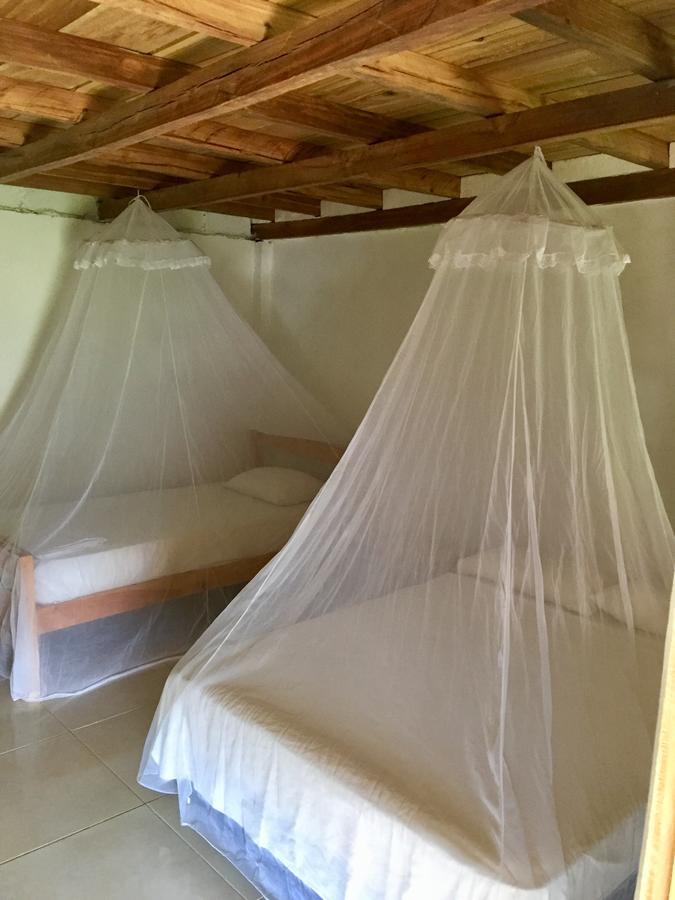 Palomino Breeze Hostal Екстер'єр фото